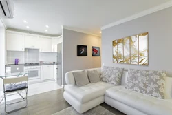 Sofa in the kitchen living room in a modern style photo in the apartment