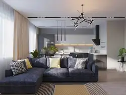 Sofa In The Kitchen Living Room In A Modern Style Photo In The Apartment