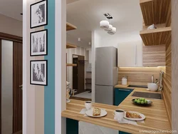 Bathroom and kitchen in one room photo