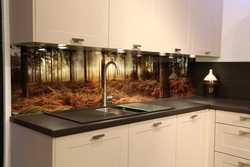 Glass Splashback Design For Kitchen