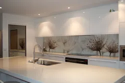 Kitchen Design With Panel Splashback