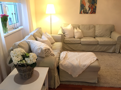 Two sofas in the bedroom interior