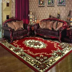 Carpets in the living room interior
