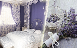 Bedroom interior lavender