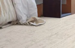 Kvartiradagi mantar pollari fotosurati