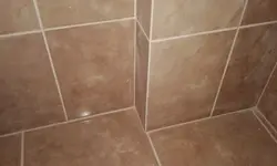 Категорияҳо 