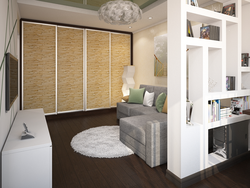 Wardrobe In The Room Of A Studio Apartment Photo