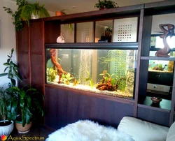 Aquarium As A Partition In An Apartment Photo