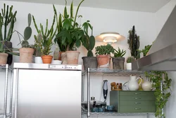 Interior of home flowers in the kitchen