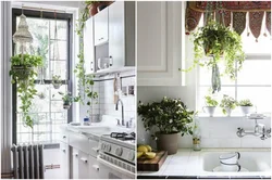 Interior of home flowers in the kitchen