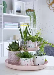 Interior of home flowers in the kitchen