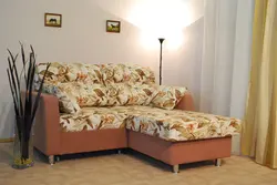 Sofa with sleeping place in the room photo