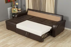 Sofa with sleeping place in the room photo