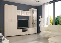 Light modular walls in the living room modern photos