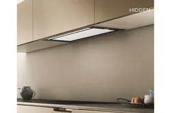 Built-in kitchen hood 60 photos