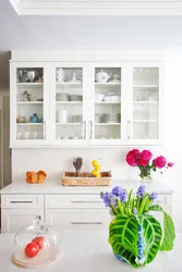 Wall cabinets for the kitchen with glass in the interior