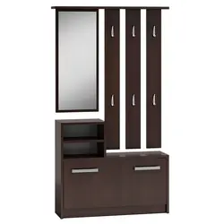 Hallway closet with mirror and hanger photo