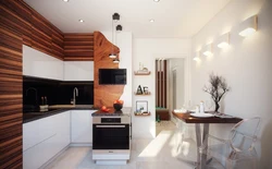 Kitchens In Apartments On One Wall Photo