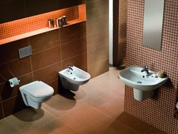 Bathtub with toilet installation photo