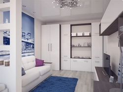 Wardrobe in the interior of a one-room apartment