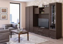 Wenge rəngli fotoşəkildə qonaq otağı mebeli