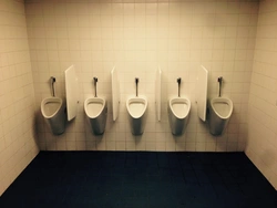 This is the toilet I have in my apartment photo