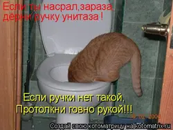 Вот Такой У Меня Туалет В Квартире Фото