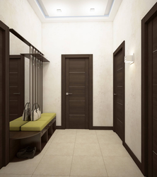 Light Hallway Interior With Dark Doors