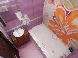 Small bathroom design with panels