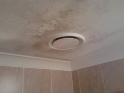 Bath hoods for ceilings photo