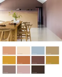 Paint Palette For Kitchen Interior