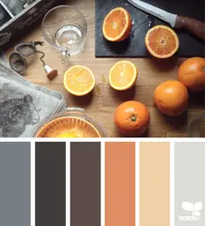 Paint palette for kitchen interior