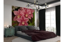 Орхидея дар дохили хонаи хоб