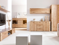 Wooden furniture in the living room interior photo