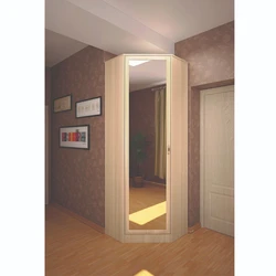 Corner wardrobe in the hallway with a mirror photo design