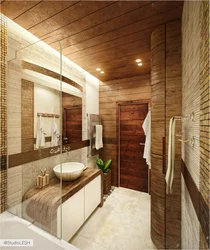 Bathroom in the house projects photos