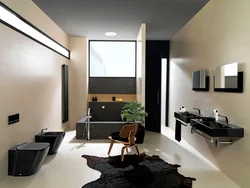 Bathroom interior with black fixtures