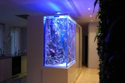 Mənzillərin interyerlərində akvarium arakəsmələri