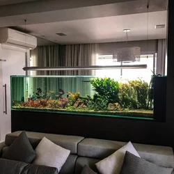 Aquarium partitions in apartment interiors