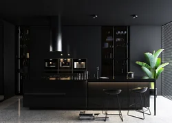 Living room kitchen design in black tones