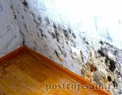 Акси девори квартира изолятсия кунед