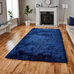 Bedroom interior with carpet on the floor