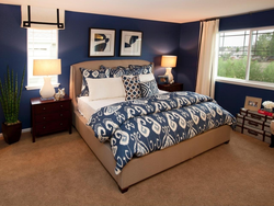 Brown and blue in the bedroom interior