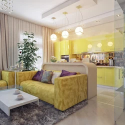 Combine kitchen, living room and bedroom photo