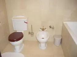 Дизайн Ванной С Туалетом И Биде