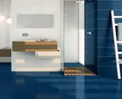 Bathroom Design Blue Porcelain Tiles