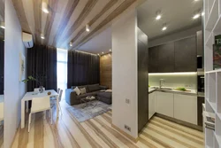 Apartment design 32 sq m with kitchen