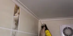 Тахтаҳои Шифт Дар Акси Ҳаммом