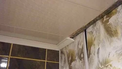 Ванна бөлмесінің фотосуретіндегі төбеге арналған юбка тақталары