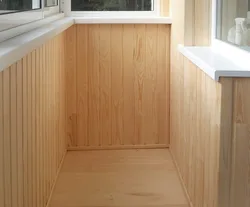 Катэгорыя 